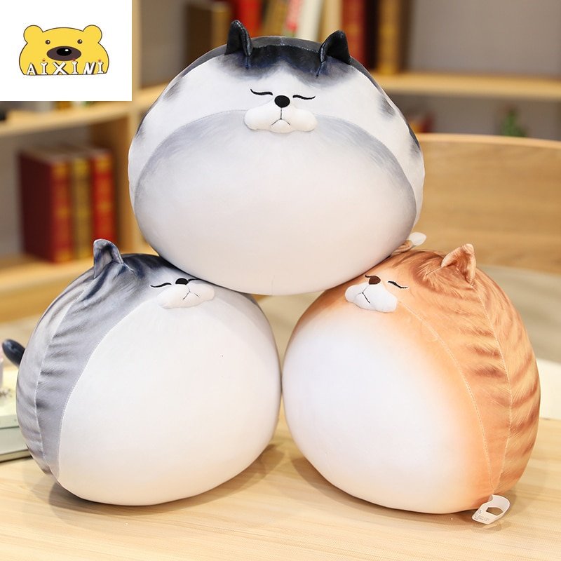 Chat en Peluche Coussin | Câlinocat