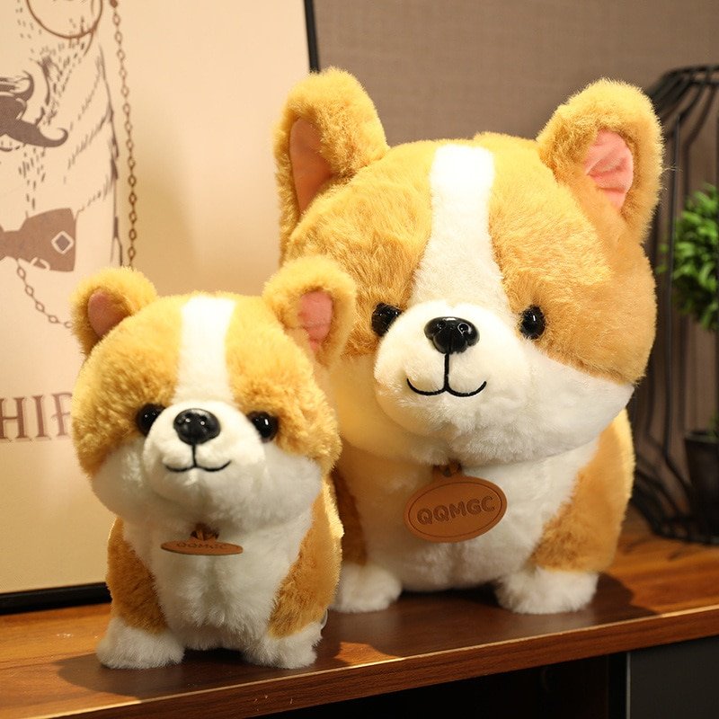 Peluche chien Corgi | Corgidoux